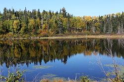 Lac-Saint-Jean naar Shawinigan